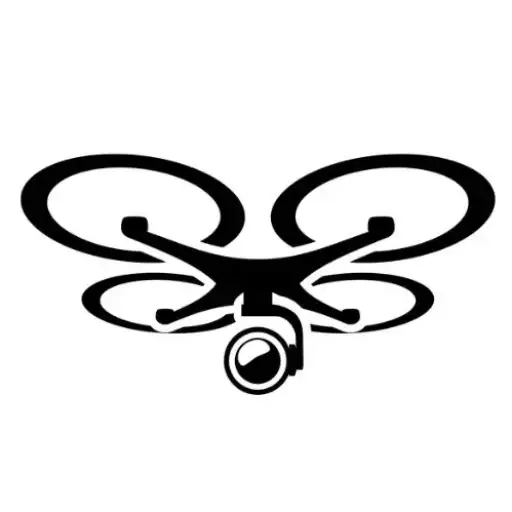 Primer Logo SkyDriveDron 2022